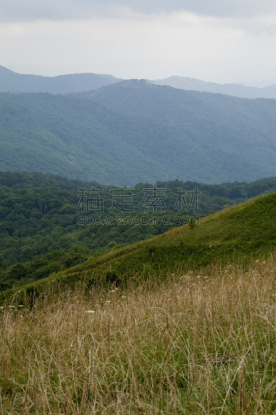 阿巴拉契亚山间栈道,菜园,皮撒国家森林公园,南方丘陵地带,自然,北卡罗来纳,草地,美国,水平画幅,地形
