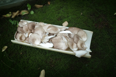 蘑菇,竹子,蔬菜,篮子,清新,自然界的状态,背景分离,食品,泰国,成分