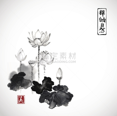 Lotus flowers hand drawn with ink
