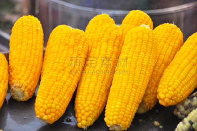 玉米,熟的,泰国,金色,沸腾的,自然,饮食,式样,水平画幅,素食