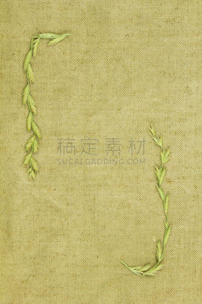 纺织品,干的,粗糙的,绿色,植物群,垂直画幅,艺术,纹理效果,纸巾,无人