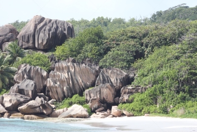 大湾海滩,拉迪戈岛,塞舌尔,水,水平画幅,沙子,无人,山毛榉树,健康,夏天