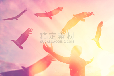 商务,鸟类,天空,男人,山,鹰,飞,日落