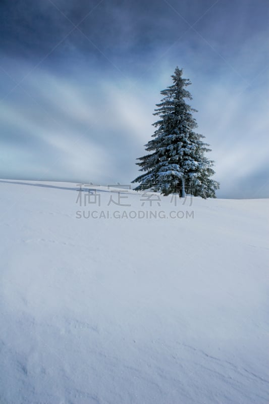 冬天,自然,垂直画幅,天空,寒冷,黑森林,非都市风光,山,雪