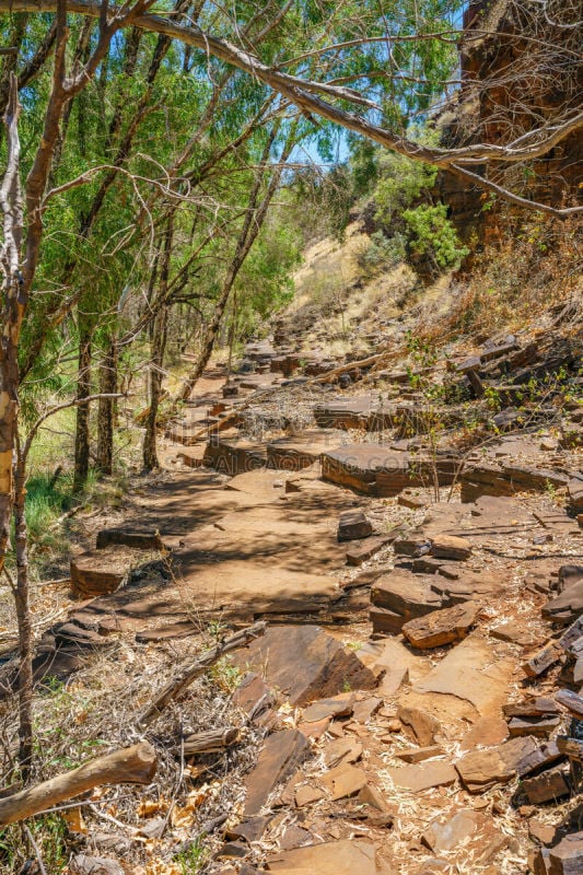 西澳大利亚,dales gorge,徒步旅行,橙色,壁纸,草,巨石,小路,红岩石,沙漠