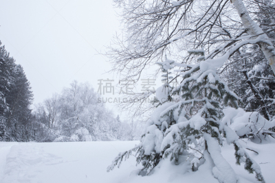 冬天,加拿大,天空,水平画幅,雪,无人,户外,雪燕,戏剧性的天空,北美
