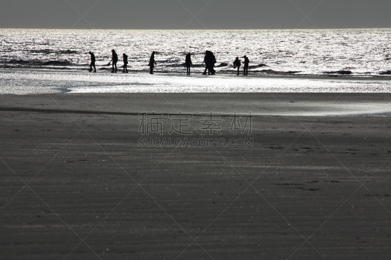 海滩,家庭,进行中,桨叉架船,海滨卡耶,索姆,福克兰群岛,悬崖,水平画幅,沙子