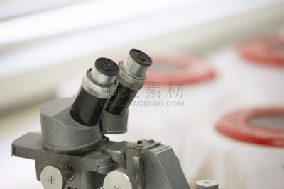植物,实验室,农业,蔬菜,显微镜,健康保健,化学,科技,癌症,科学实验