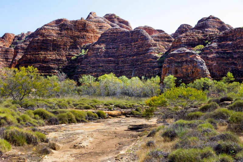 purnululu national park,自然,环境,图像,灌木,西澳大利亚,金伯利高原,无人,偏远地区,沙漠