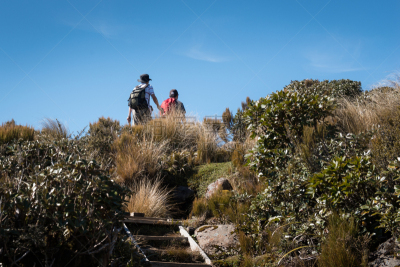 塔拉纳基山,新西兰,徒步旅行,痕迹,草丛,塔拉纳基大区,休闲活动,户外,天空,旅行者