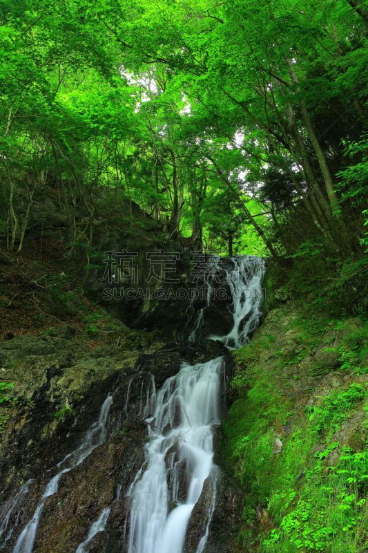 夏天,shiraito falls,垂直画幅,水,瀑布,户外,植物,山,风景,东北片区