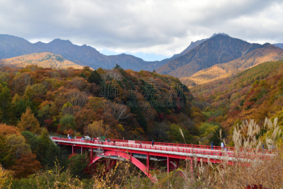 秋天,山谷市,叶子,自然,高原,度假胜地,水平画幅,巴岳山,无人,日本