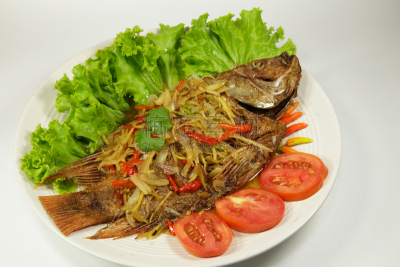 盘子,鱼肉,红辣椒粉,酱汁,裹面包屑,甜食,白色,餐具,胡萝卜,水平画幅