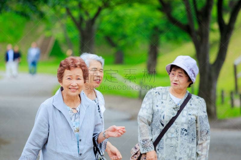 日本,老年女人,五棱郭,函馆,工作年长者,水平画幅,古老的,旅行者,户外,乐趣