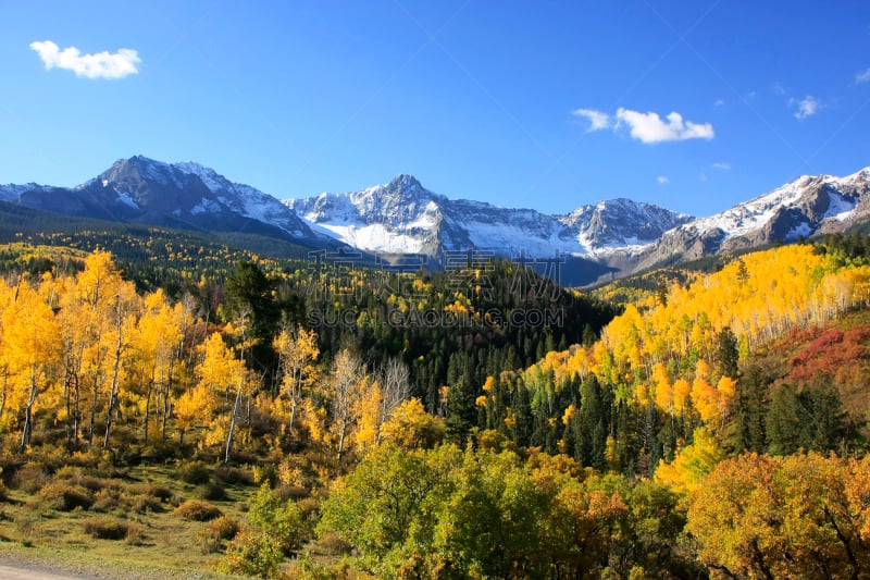 斯奈佛尔斯山脉,山,科罗拉多州,海登山,Uncompahgre National Forest,奥瑞县,白杨类,天空,水平画幅,雪