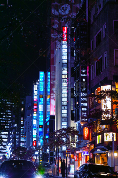 银座,霓虹灯,市区,垂直画幅,夜晚,行人,东亚,商店,户外,灯