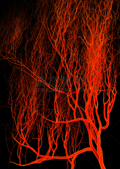 血管,毛细血管,大规模的放大,癌细胞,黑色背景,满画幅,特写,心血管系统