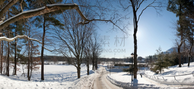 冬天,路,寒冷,牛顿,新英格兰,全景,图像,天气,雪,无人