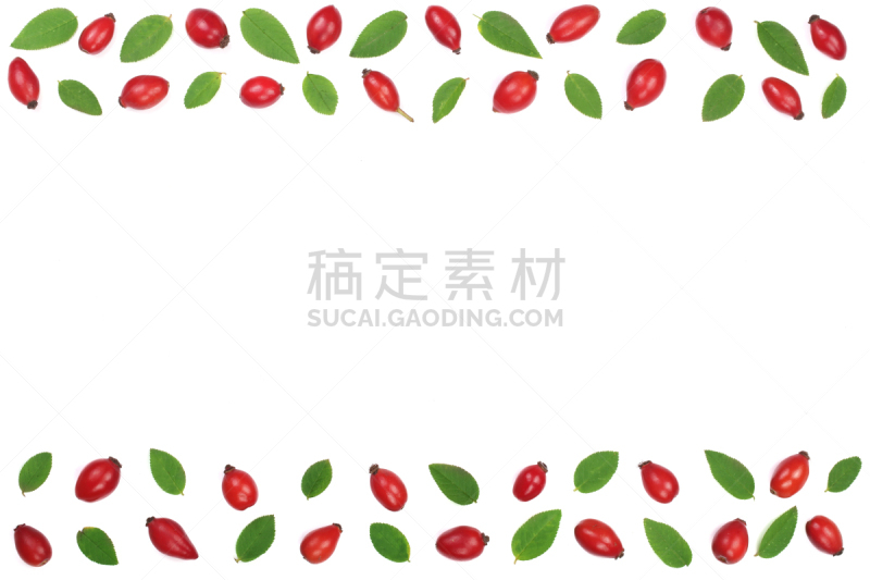 留白,风景,浆果,式样,文字,蔷薇果,平铺,白色背景,分离着色,上装
