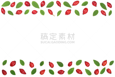 留白,风景,浆果,式样,文字,蔷薇果,平铺,白色背景,分离着色,上装