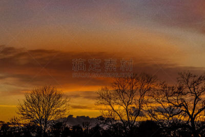 冬天,帕丁顿区,水平画幅,无人,英国,日落,摄影,树