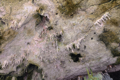 石灰石,森林,里面,巴蜀,石笋,钟乳石,自然,水平画幅,岩石,地质学