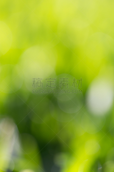绿色,背景虚化,自然美,自然,白色,哈萨克斯坦,草地保龄球,白昼,垂直画幅,图像