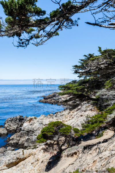 锐角,日落谷,中途岛,在之间,lone cypress tree,太平洋丛林镇,派司开特罗,圆石滩,卡麦尔,蒙特利半岛
