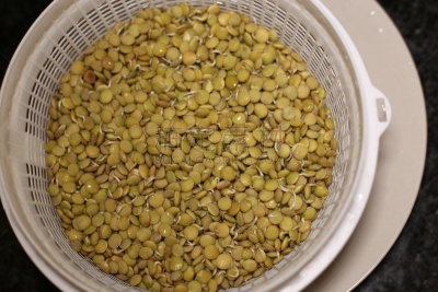 扁豆,褐色,水平画幅,素食,无人,芽痕,生食,维生素,组物体,塑胶