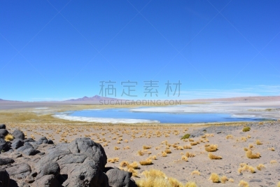 盐湖,阿塔卡马沙漠,智利,自然,南美,旅游目的地,水平画幅,无人,生态旅游,户外
