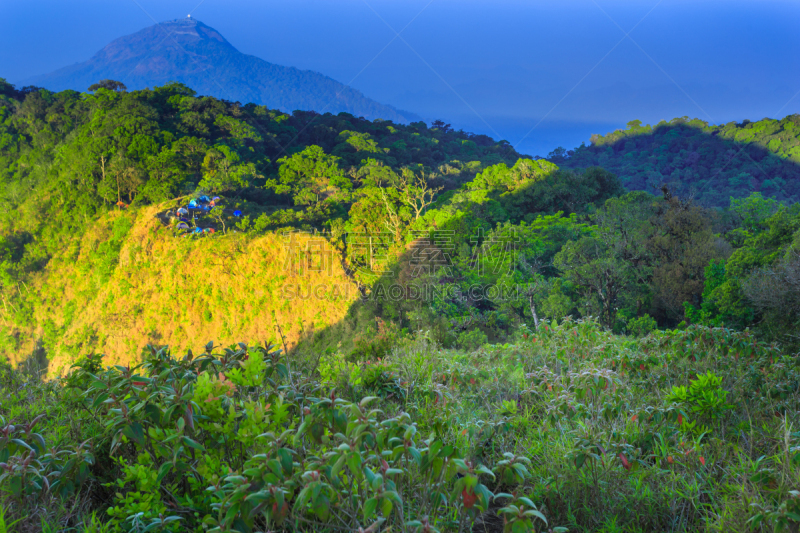 野生植物,帐篷,全景,山顶,英格兰湖区,留白,枝繁叶茂,英格兰,高地,圆顶帐篷