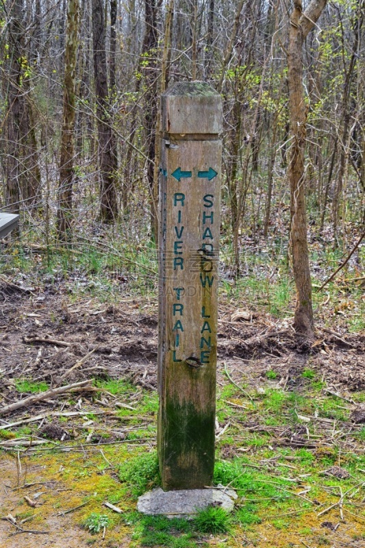 小路,城市,音乐,美国,田纳西,福特雪碧汽车,坎伯兰河,那什韦尔,居住区