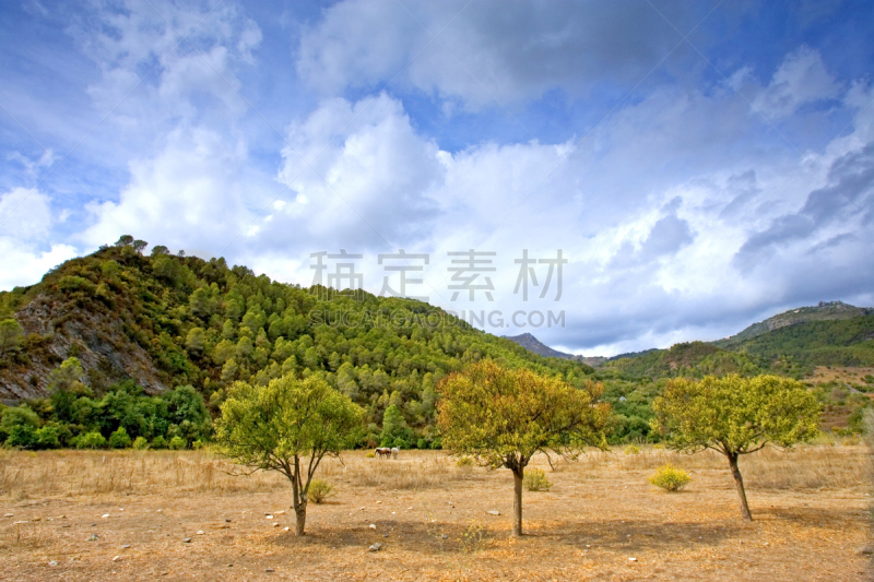 田地,三个人,安达卢西亚,西班牙,天空,褐色,水平画幅,山,野外动物,海岸地形