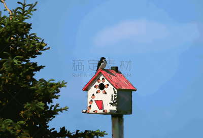 动画片,树燕,荧光色,自然,野生动物,水平画幅,无人,蓝色,鸟类,野外动物