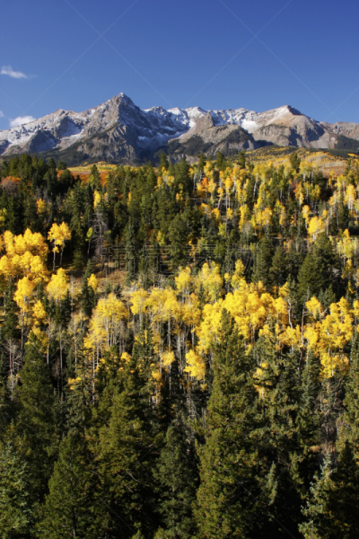 科罗拉多州,Uncompahgre National Forest,达拉斯市,垂直画幅,天空,雪,无人,户外,山,分割