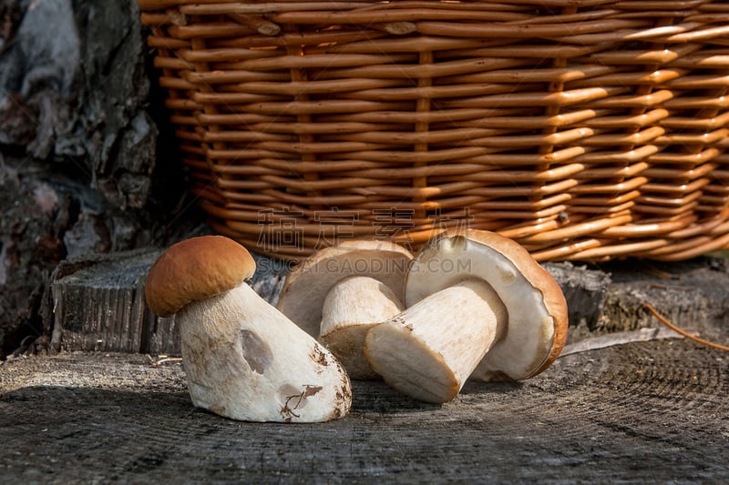 porcini mushroom,自然,农作物,背景,褐色,水平画幅,无人,苔藓,生食,户外