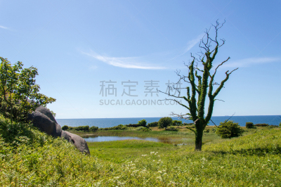 地形,波恩荷尔摩岛,全景,丹麦,水,天空,夏天,白色,彩色图片,风景