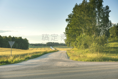草地,田地,蜿蜒,乡村路,丰满,侧面视角,路,天空,档案,古老的