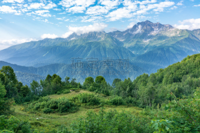 草,山脉,风景,高大的,山,小路,远距离,草地,雪山,树