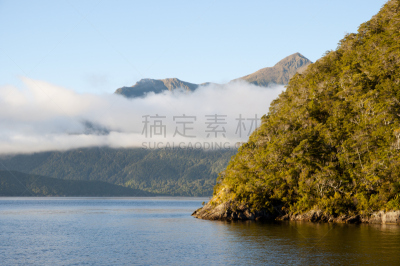 doubtful sound,新西兰,自然,不确定,水平画幅,旅行者,户外,草,岛,海洋