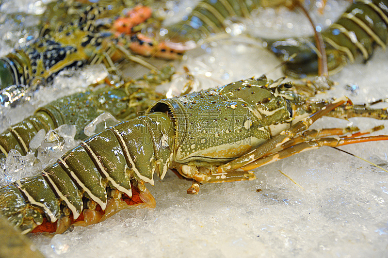 龙虾,水平画幅,绿色,食品杂货,生食,膳食,海产,明虾,冰,特写
