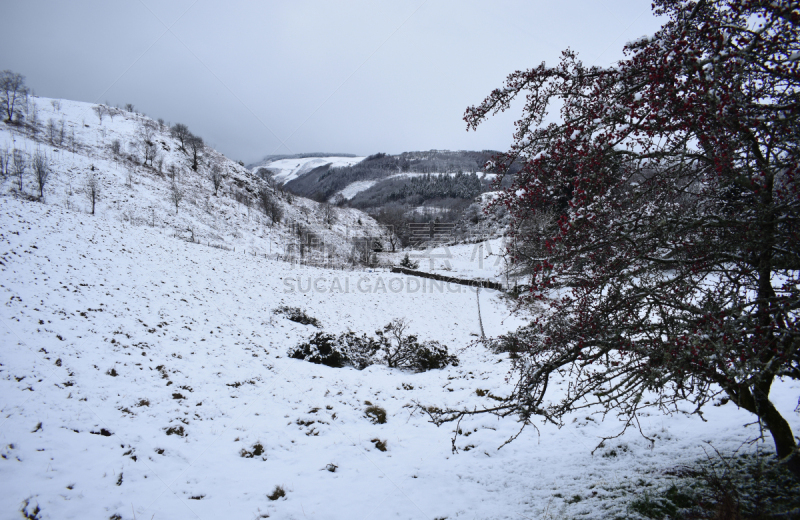 雪,威尔士,地形,寒冷,环境,英国,背景,谷边,岩石,户外