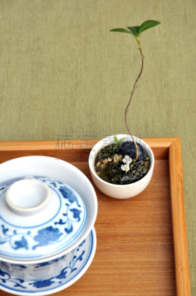 盆景,茶壶,茶道,软垫,陶瓷工艺品,伐木搬运业,垂直画幅,长椅,古董,无人