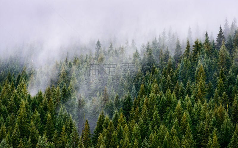 胡德雪山,胡德里弗,摩特诺玛瀑布,哥伦比亚河谷,波特兰,卡斯基德山脉,俄勒冈州,俄勒冈郡,水平画幅,无人