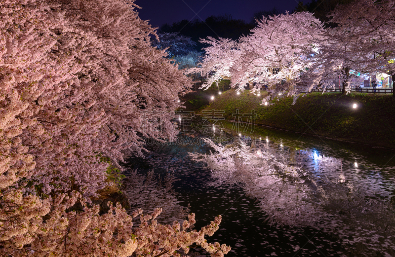 弘前公园,樱桃树,弘前城堡,弘前,青森县,护城河,花见节,天空,美,公园