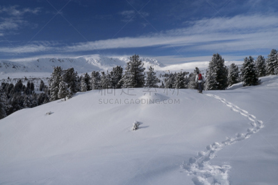雪,上阿迪杰,水平画幅,户外,白色,彩色图片,冬天,山,阿尔卑斯山脉,雪鞋