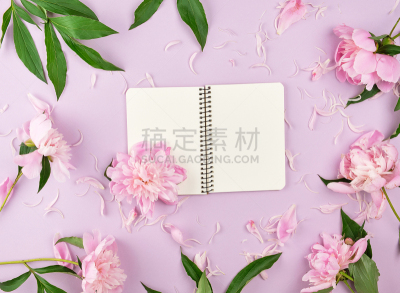 空白的,开着的,螺旋记事本,白页,背景分离,模板,植物,消息,办公室,白色