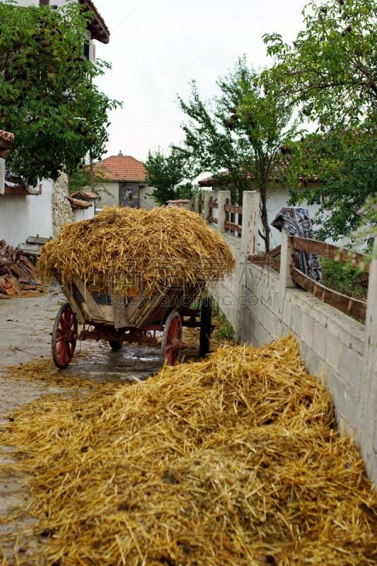 街道,狭窄的,马车,街头食品,草垛,垂直画幅,天空,干草,牛车,兽力车