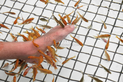 spa美容,鱼类,温泉鱼疗,头垢,水,四肢,水平画幅,腿,健康,干净
