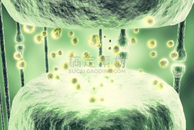 受体,绘画插图,白色背景,分离着色,平衡折角灯,三维图形,动作,髓鞘,有髓鞘轴突,电子显微镜